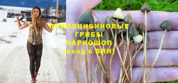 мяу мяу мука Армянск