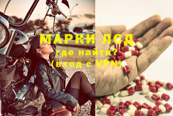 экстази Арсеньев